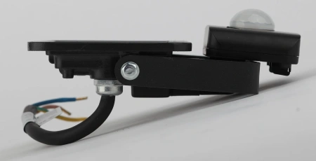 Изображение: прожектор lpr-041-2-65k-020 20вт 1600лм 6500к датчик движения регулируемый 100x13,т.м. эра в Минске